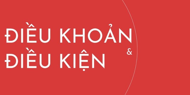 Điều Khoản Điều Kiện 8Xbet - Quy Định Bắt Buộc Của Nhà Cái