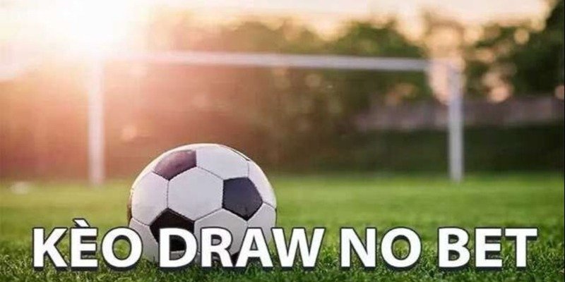 Kèo Hòa Ngoại Trừ 8Xbet - Bí Kíp Bất Bại Cho Người Chơi