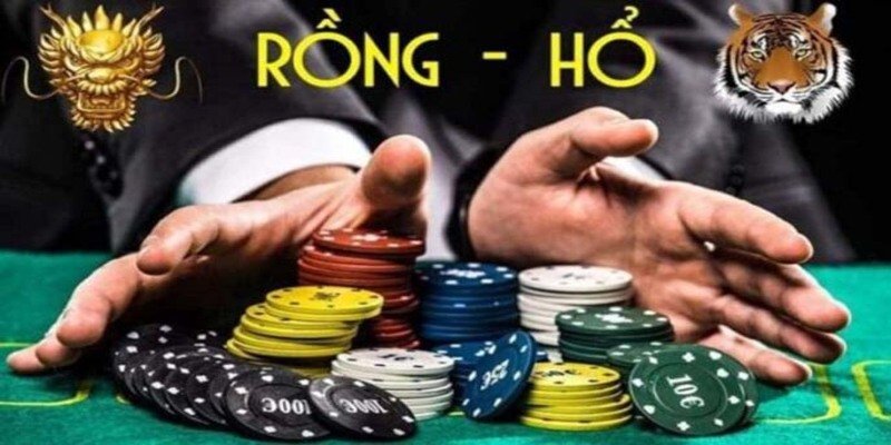 Rồng Hổ 8Xbet - Mách Bạn Kinh Nghiệm Cược Đâu Thắng Đó