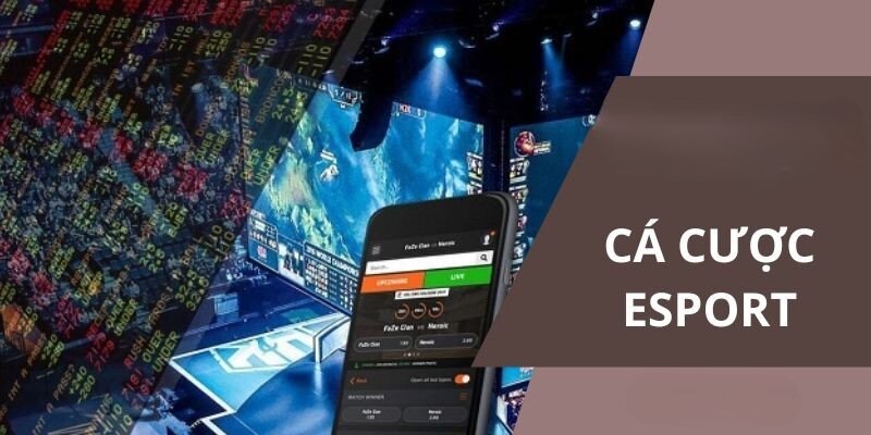 Esports Là Gì? 8Xbet Nhà Cái Trực Tuyến Uy Tín Hàng Đầu 2026