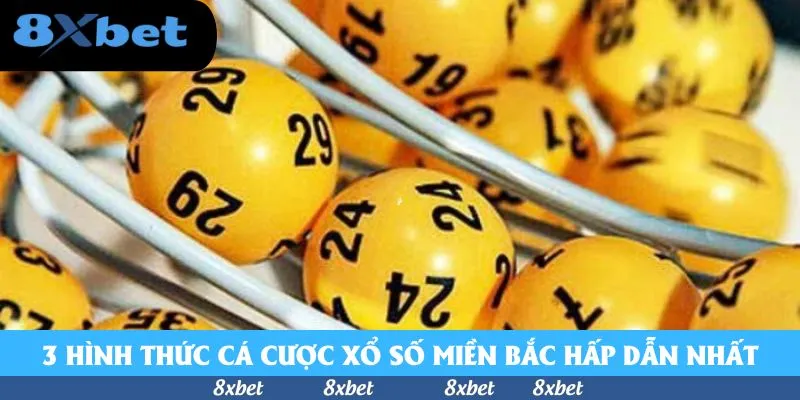 Cá Cược Xổ Số Miền Bắc - Thành Công Nhanh, Đổi Đời Chóng