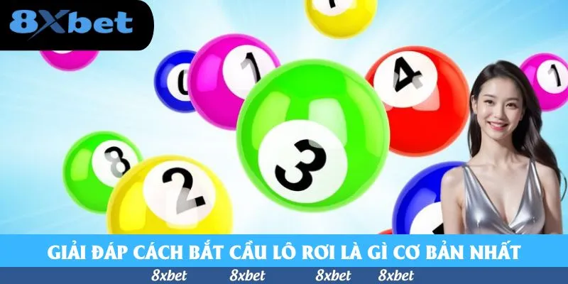 Giải Đáp Cầu Lô Rơi Là Gì Cùng Chiến Thuật Bắt Số Hữu Hiệu