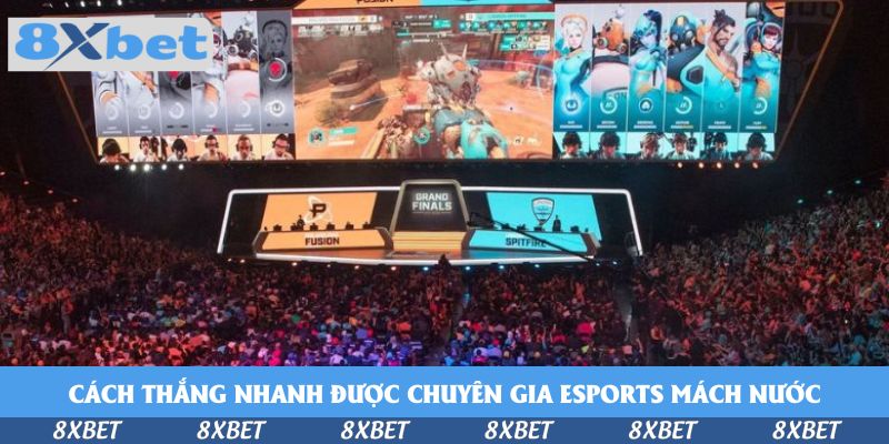 Chơi Koi Cup Solos Grand Finals Tại Nhà Cái 8xbet - Cuộc Đua Đỉnh Cao