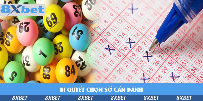 Chơi Xổ Số Miền Bắc 1 phút Tại 8xbet - Đổi Đời Nhanh Chóng