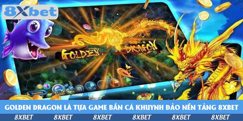 Cùng Tham Gia Golden Dragon Cùng 8xbet - Trải Nghiệm Khó Quên