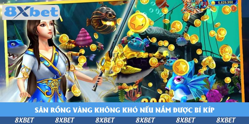 Cùng Tham Gia Golden Dragon Cùng 8xbet - Trải Nghiệm Khó Quên