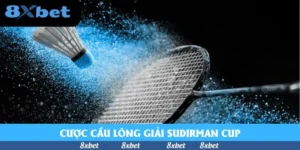 Cá Cược Thể Thao 8XBET – Đa Dạng Kèo, Thắng Lớn Mỗi Ngày