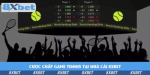 Cá Cược Thể Thao 8XBET – Đa Dạng Kèo, Thắng Lớn Mỗi Ngày