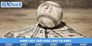 Cá Cược Thể Thao 8XBET – Đa Dạng Kèo, Thắng Lớn Mỗi Ngày