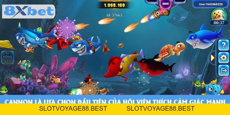 Đánh Laser Cannon Fishing Cùng 8xbet - Cuộc Chơi Đẳng Cấp