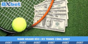Cá Cược Thể Thao 8XBET – Đa Dạng Kèo, Thắng Lớn Mỗi Ngày