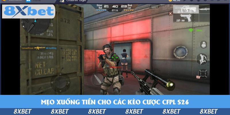 Quy Trình Đặt Cược Ngay CrossFire Pro League Season 26 Tại 8xbet 2026