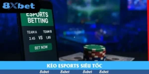 Cá Cược Esports 8XBET – Đa Dạng Giải Đấu, Tỷ Lệ Cực Hấp Dẫn