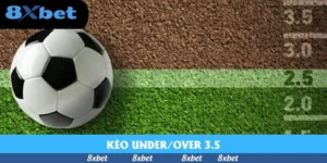 Cá Cược Thể Thao 8XBET – Đa Dạng Kèo, Thắng Lớn Mỗi Ngày
