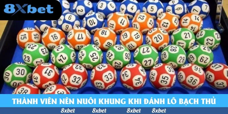 Lô Bạch Thủ - Mách Bạn Bí Quyết Đổi Đời Với Thần Số Học