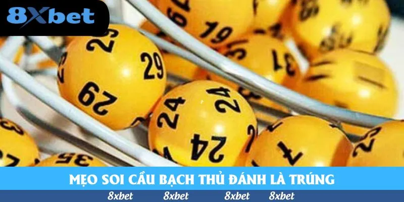 Lô Bạch Thủ - Mách Bạn Bí Quyết Đổi Đời Với Thần Số Học