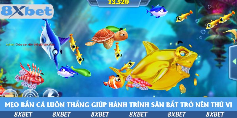 Mẹo Bắn Cá Luôn Thắng - Bí Kíp Săn Boss 8xbet Trong 2026