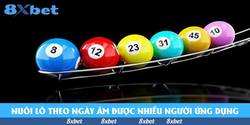 Nuôi Lô Theo Ngày Âm - Bật Mí Bí Kíp Hữu Ích Bất Ngờ