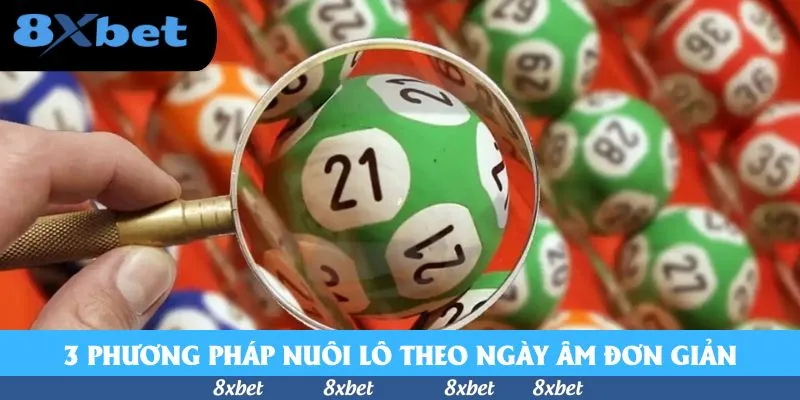 Nuôi Lô Theo Ngày Âm - Bật Mí Bí Kíp Hữu Ích Bất Ngờ