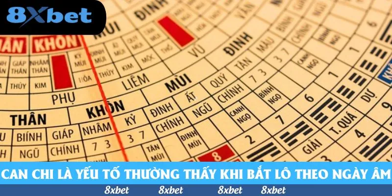 Nuôi Lô Theo Ngày Âm - Bật Mí Bí Kíp Hữu Ích Bất Ngờ