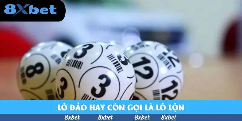 Cách Phân Tích Lô Đảo Chi Tiết Cho Tín Đồ Số Học 2026