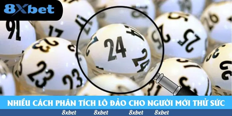 Cách Phân Tích Lô Đảo Chi Tiết Cho Tín Đồ Số Học 2026