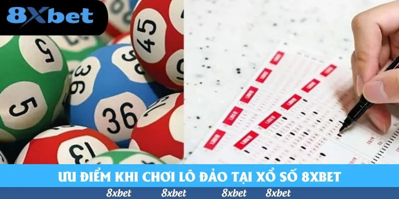 Cách Phân Tích Lô Đảo Chi Tiết Cho Tín Đồ Số Học 2026