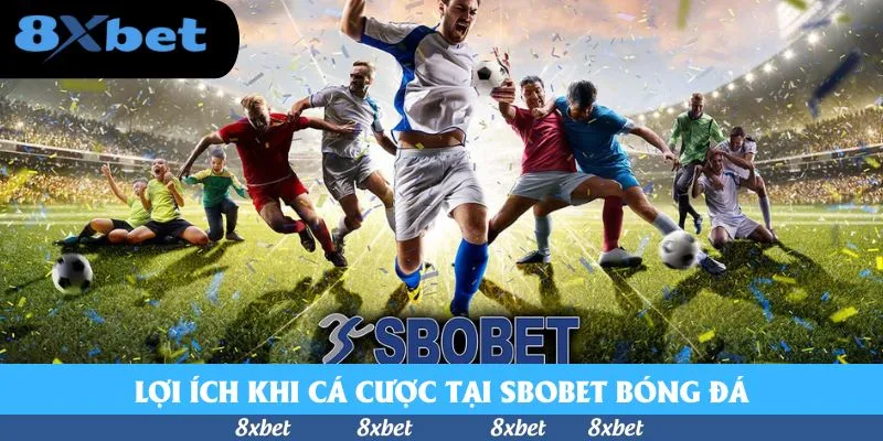 SBOBET Bóng Đá - Sảnh Cược Uy Tín, Chất Lượng TOP 2026