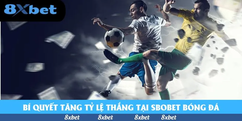 SBOBET Bóng Đá - Sảnh Cược Uy Tín, Chất Lượng TOP 2026