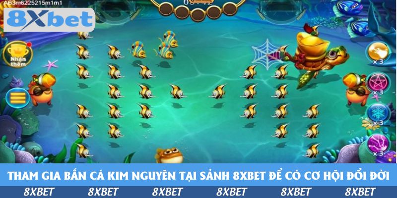 Tham Gia Bắn Cá Kim Nguyên Tại Sảnh 8xbet - Săn Thưởng Vàng