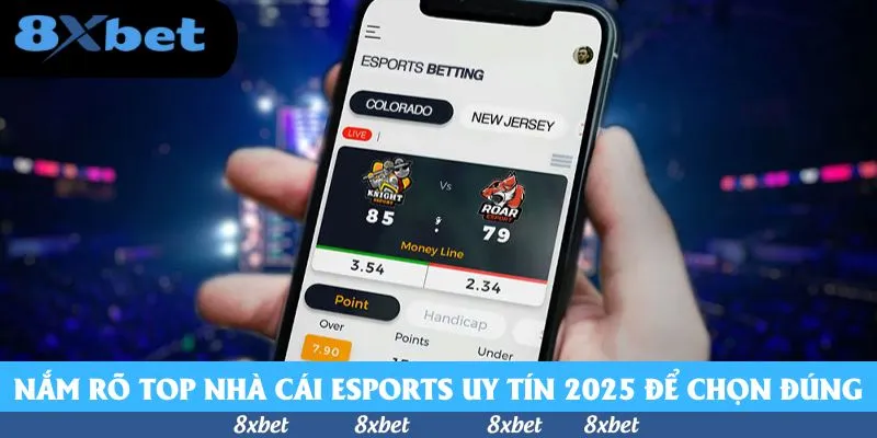 Top Nhà Cái Esports Uy Tín 2026 - Đánh Giá Chi Tiết Nhất