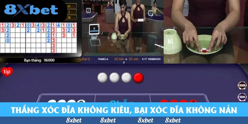 Chơi Xóc Đĩa Online Cùng Casino 8xbet Uy Tín Top Đầu