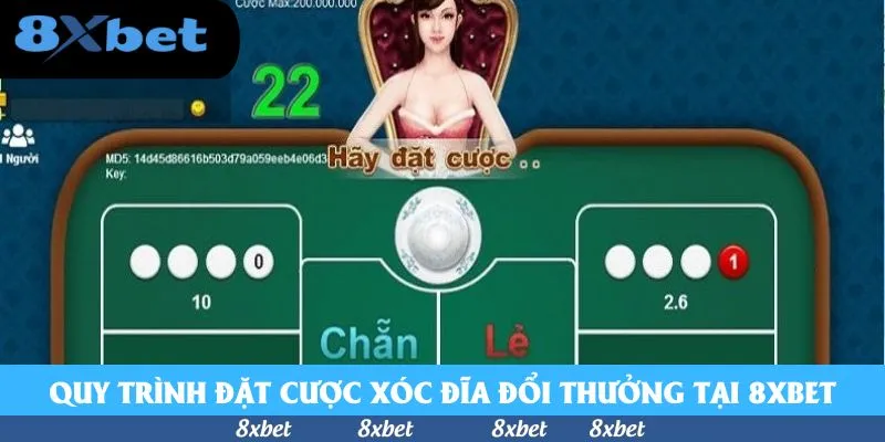 Kinh Nghiệm Bất Bại Khi Chơi Xóc Đĩa Tỷ Lệ 1.98 Tại 8xbet